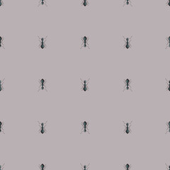 Seamless pattern colony ants on dark gray background. Vector insects template in flat style for any purpose. Modern animals texture.