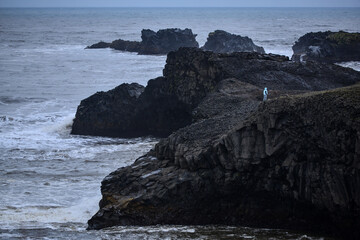A tourist at the edge of the black volcanic cliffs of the Dyrholaey peninsula, South Iceland