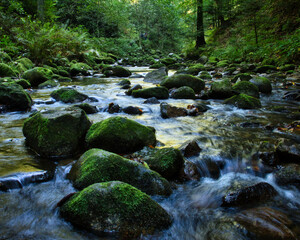 Moss covered rocks in a stream next to a walking path near Baden Baden, Germany in the Black Forest...