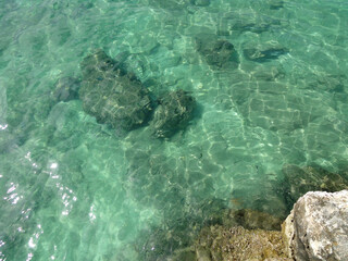 エメラルド色の海