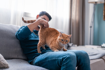 young man sitting on a gray sofa caresses the back of a brown tabby cat