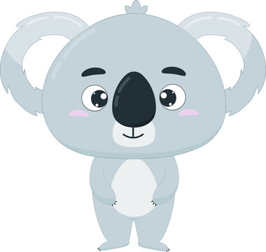 Cute cartoon vector character koala. Australian koala on white background