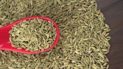 Fennel is a highly aromatic and flavorful herbs used in cooking and drinks are used as breath freshener.