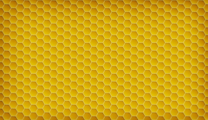 Natural bee honeycomb hex background