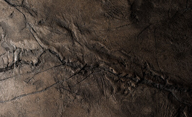 Brown textured clay wall design with cracks and imperfections. Wall design ideas in contemporary interior.