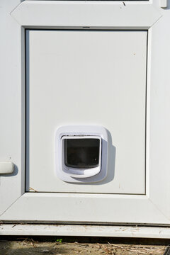 Cat Flap In The Door, Entrance And Exit To The Home. 