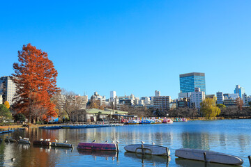 【東京都】上野恩賜公園周辺と不忍池の風景