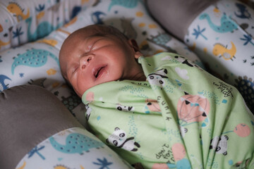 A newborn baby is sleeping comfortably with an adorable expression. Asian child two days old. 