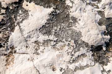 Obraz na płótnie Canvas Natural natural stone of black and white color with texture