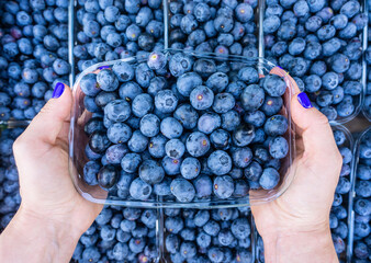 Hands holding a retail box with blueberries