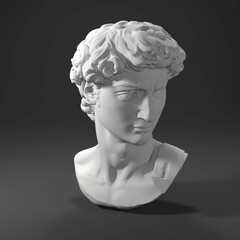 3D render art statue sculpture Head Michelangelo David