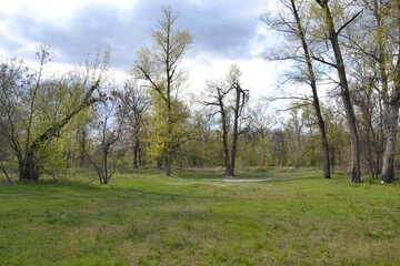 Obraz premium summer landscape Poltava river Vorskla