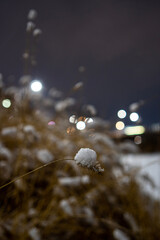 rain drops on the window