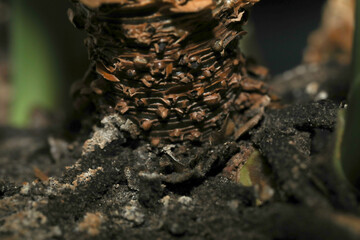 close up view of soil