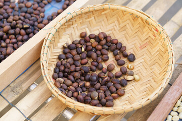 coffee beans Poured on a wooden table, beautifully arranged, decorated with coffee leaves. Is a mixture of raw materials for making coffee