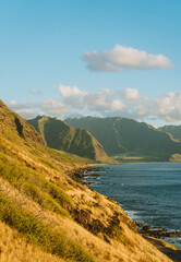 Fototapeta na wymiar Hawaii mountains by the sea 
