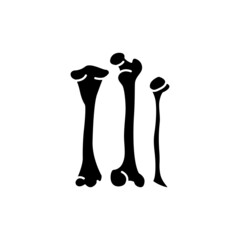 Human organ bone color line icon. Pictogram for web page, mobile app