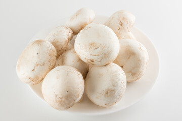 premium champignon mushrooms isolated
