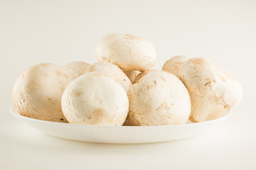 premium champignon mushrooms isolated
