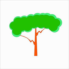 a tree with a lush crown