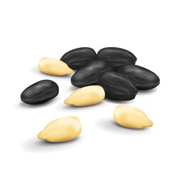 Vector realistic illustration of peeled and shelled sunflower seeds in bulk isolated on a white background with shadow