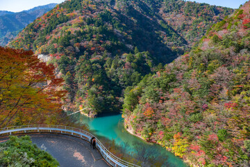 静岡県榛原郡川根本町　紅葉の寸又峡