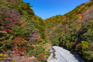 静岡県榛原郡川根本町　紅葉の寸又峡