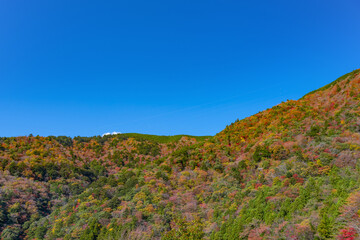 静岡県榛原郡川根本町　長島ダム付近の紅葉