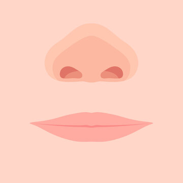 口唇口蓋裂_健常_術後のイラスト_アップ