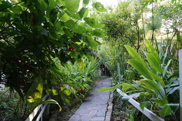 hermosa vista de mi jardín en la ciudad