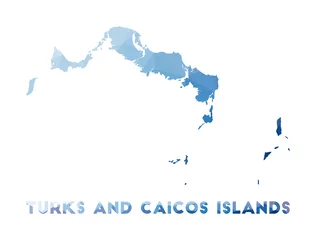 Foto op Plexiglas Low poly map of Turks and Caicos Islands. Geometric illustration of the island. Turks and Caicos Islands polygonal map. Technology, internet, network concept. Vector illustration. © Eugene Ga