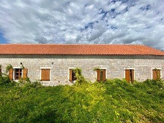 View of a green house enclosed with green plants around. Concept of a summer house. The courtyard interior. Beautiful springtime Mediterranean style courtyard.