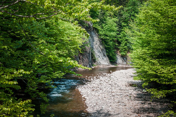 mountain river stone beach and green trees