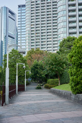 Fototapeta na wymiar 日本の無人の並木道