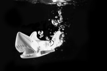 Closeup shot of a plastic small shark in the water in grayscale
