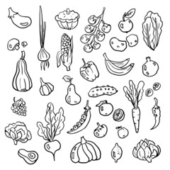 Fruits and vegetables hand drawn doodle collection.