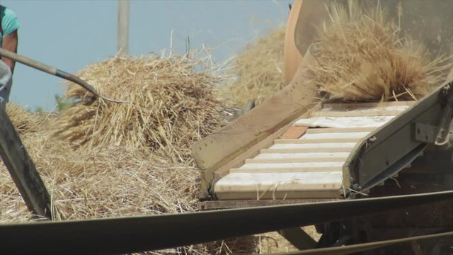 Old hay threshing machine