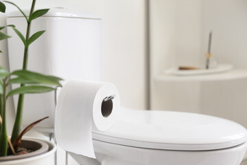 Roll of toilet paper in modern restroom