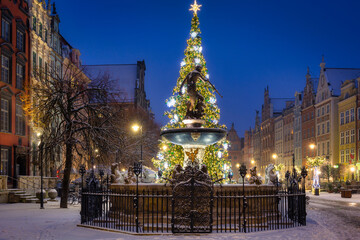 Beautiful Christmas tree in the old town of Gdansk at wintery night. Poland - obrazy, fototapety, plakaty