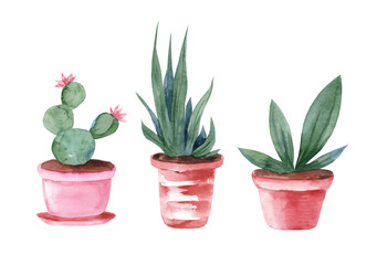 Watercolor hand drawn illustrations with cactus and succulents on a white background. Green house plants illustration. Cute plant pots.