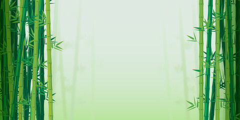 Vector illustration of green bamboo forest with blurred background and copy space for your text. The natural backgrounds