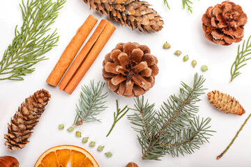 Beautiful winter composition with natural forest decor and cinnamon on white background, closeup