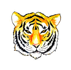 portrait of a tiger in watercolor