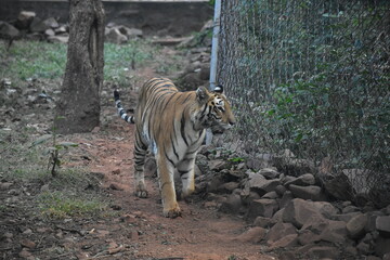 natural beauty of BHopal Madhya Pradesh
