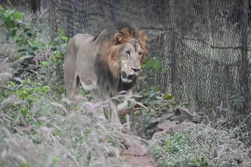 Natural scenic beauty of Bhopal Madhya Pradesh
