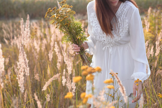A lovely woman gathering herbs, herbalism. Girl in meadow with bouquet of fresh herbs.