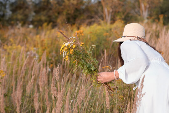 A woman in a hat bending down to pick herbs in a meadow. Dressed in a white dress, a herbalist.