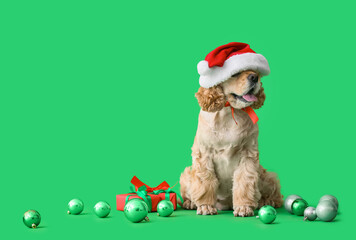 Adorable dog in Santa hat and with Christmas gift on color background