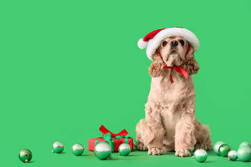 Adorable dog in Santa hat and with Christmas gift on color background