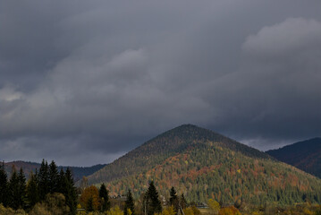 Autumn mountain landscape in the Ukrainian Carpathians - yellow and red trees combined with green...
